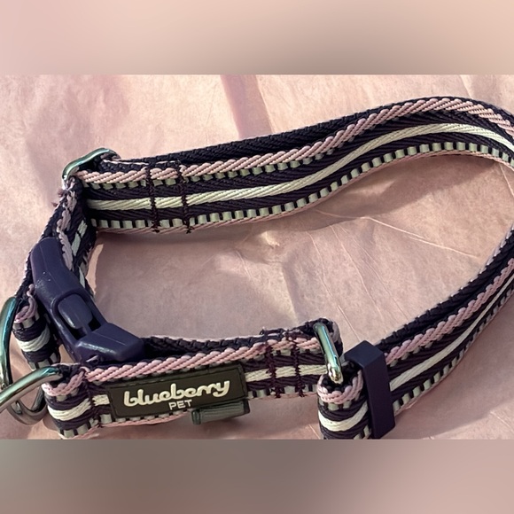 Blueberry Pet 3M Reflective Dog Collars | Adjustable Dog Collar w/Multi-Colored - Picture 7 of 11